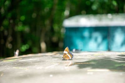 dsc01280.jpg