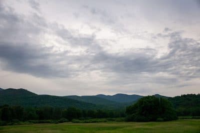 dsc01354.jpg