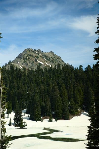 dsc05018.jpg