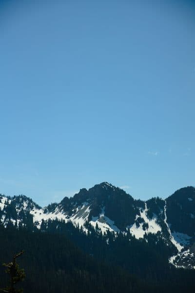 dsc05128.jpg