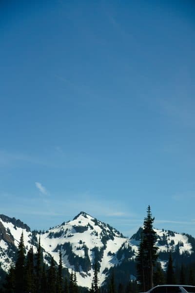 dsc05148.jpg