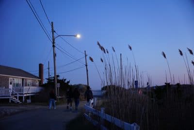 dsc07272.jpg